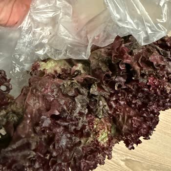 Çürük Ürünler Ve Canlı Destek Erişimi Sorunu