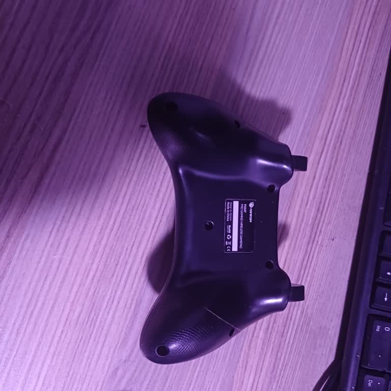 Monster Notebook Gamepad Sorunu