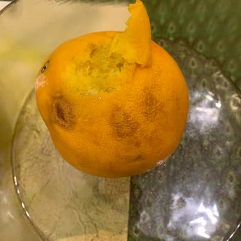 Marmara Forum Carrefour’da Gönderilen Meyve Ve Sebzeler Kalitesiz Ve Ezik, Güvenim Sarsıldı