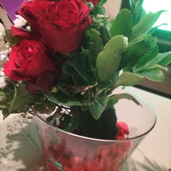 Doğum Günümde Çiçek Sepeti'nden Cam Vazo Ve Sararmış Çiçeklerle Mahcup Edildim