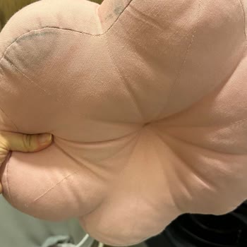 Bosch Çamaşır Makinesi Kırlentleri Boyadı Ve Parçaladı, Servis Belgeli Açıklama Vermedi