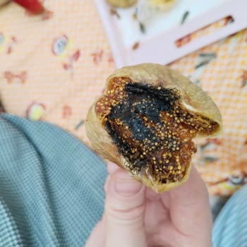 Gerbay Tarım Ürünleri Kurtlu ve Böcekli Ürün