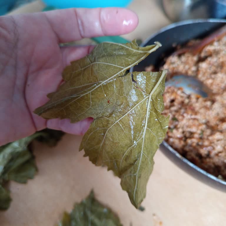 Egeden_81_ile Instagram Satıcısının Su Dolu Salamura Yaprağı Ve Cevapsız Tutumu