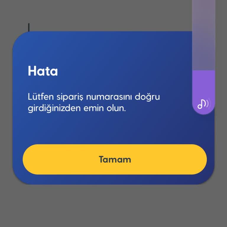 Sipariş Numarası Hatası Nedeniyle Numara Taşıma Aktivasyonu Gerçekleşmiyor