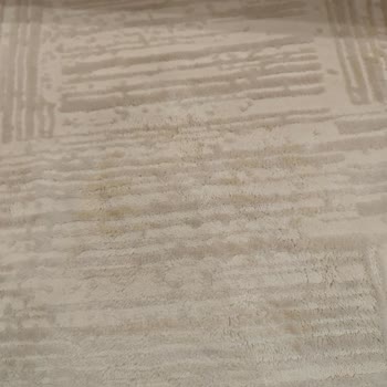 Leke Tutmayan Halı Reklamı Yanıltıcı: Sürekli Yıkama Gerekiyor