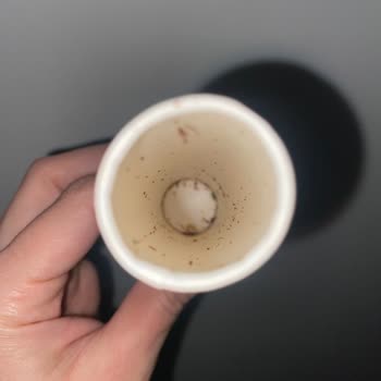 Şok Market’te Bayat Ve Kurtlanmış Yumurta Ve Bonibon