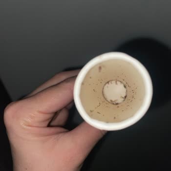 Şok Market’te Bayat Ve Kurtlanmış Yumurta Ve Bonibon