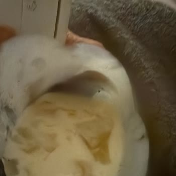 Son Kullanma Tarihi Geçmemiş Salep İçinde Bozulma Görüldü Ve Şirketten Yanıt Bekleniyor