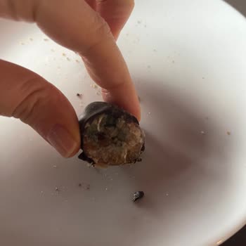 Kahve Dünyası Şubesinde Kestane Çikolatasında Küf Ve Yabancı Madde Bulunması