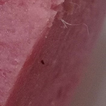 Pınar Et Ve Süt BİM Şubesinden Aldığım Salamda Tüy Bulunması Hijyen Sorunu