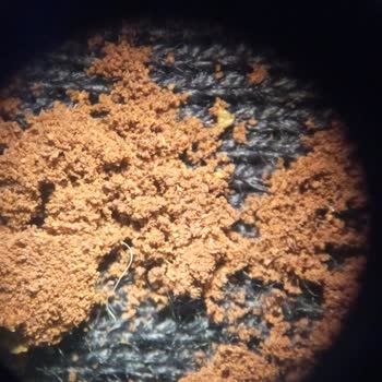 Kahve Dünyası Türk Kahvelerinde Plastik Yabancı Cisimler Resmi İnceleme Talebi