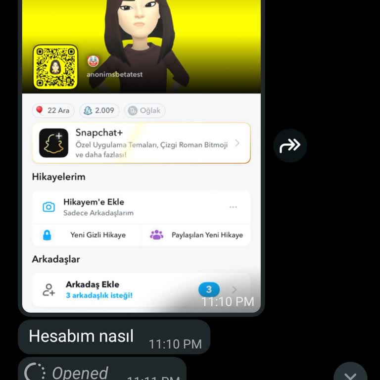 Snapchat Hesabım Çalındı, Kişisel Fotoğraflarım Tehlikede