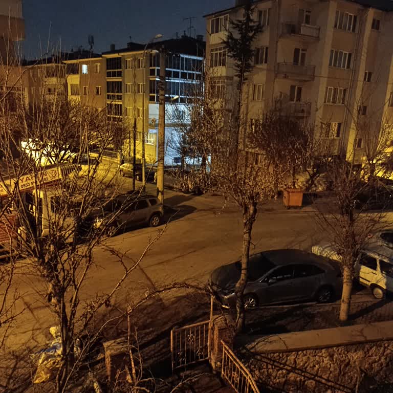 Oedaş Karanlık Sokakta Köpek Saldırıları: Aydınlatma Arızası Çözülmedi