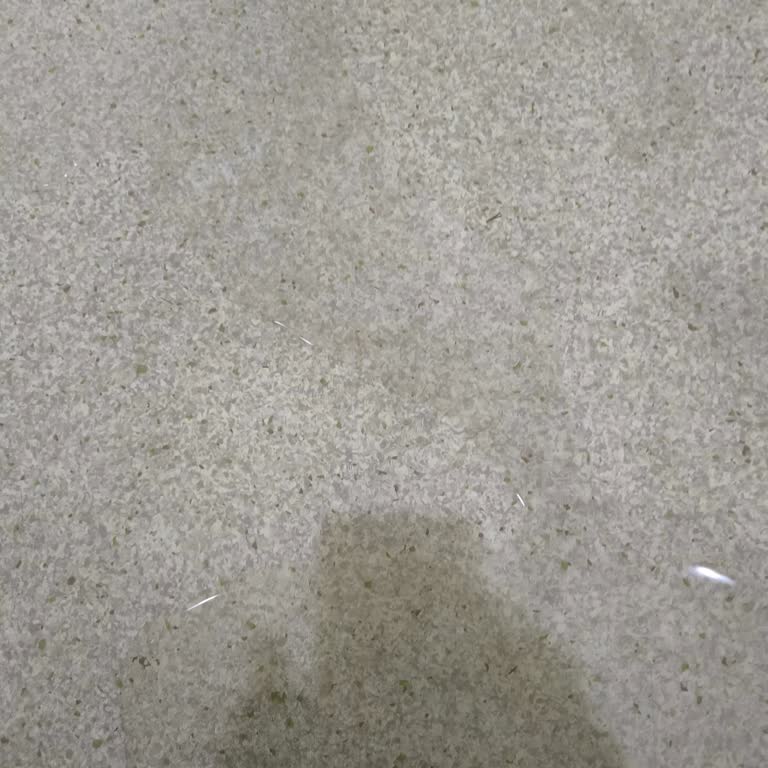 Bitay Coin'den 7500 TL Çekim İşlemi Görünmüyor Ve Müşteri Desteği Cevapsız