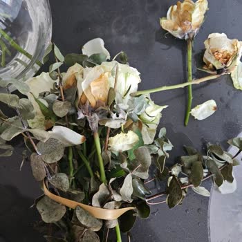 Çiçek Sepeti Düzce Bayisinden Sürekli Solmuş Çiçek Teslimatı