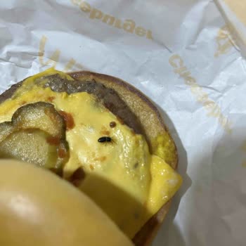 McDonald's Hamburgeri Yerken İçinde Böcek Olduğunu Fark Ettim