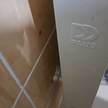 Garanti Kapsamında Patlayan Petek İçin Acil Değişim Talebi