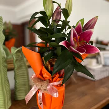 Taze Çiçek'te Görseldeki Açık Zambaklar Yanıltıcı, Teslim Edilen Çiçekler Solmuş