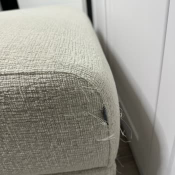 Doğtaş Mobilya Kedi Sahibi Olarak Aldığım Pati Dostu Koltuk Dayanmadı