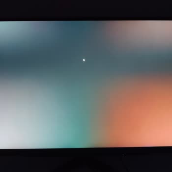 LG Monitor Has Dead Pixels and Light Bleed but Service Says No Issue