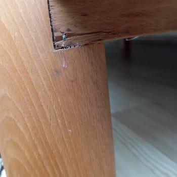 Montaj Hatası Nedeniyle Kırılan Koltuk Takımı İçin Vivense'den Cevap Yok