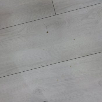 Philips Xc6557 Dikey Süpürgede Kir Dökülmesi Ve Çekim Gücü Azaldı