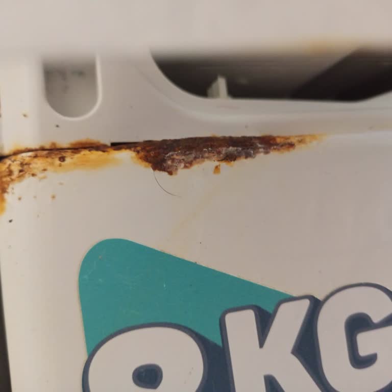 Regal Çamaşır Makinesinin Deterjan Gözü Paslanıyor, Ücretsiz Garanti Değişimi İstiyorum