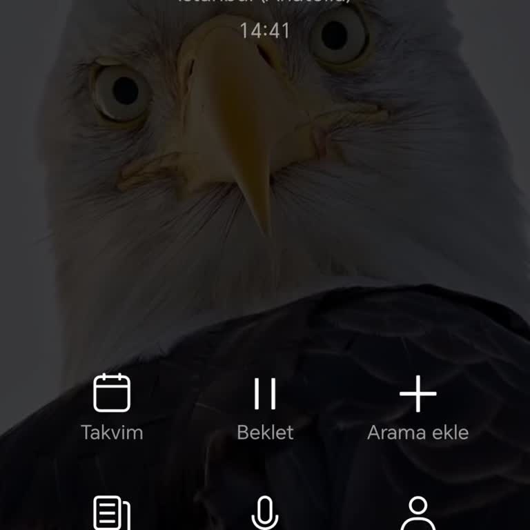 Ödenen 1600 TL’nin Kredide Yansıtılmaması Ve İade Edilmemesi