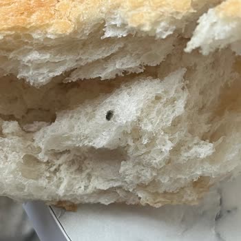 BİM Yunusemre Şubesinde Tava Ekmeğinde Fare Dışkısı Ve Hijyen Sorunu