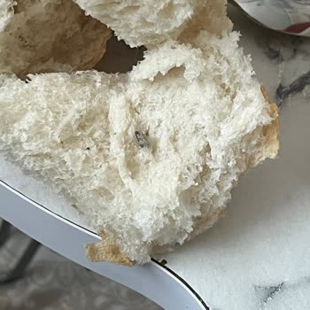 BİM Yunusemre Şubesinde Tava Ekmeğinde Fare Dışkısı Ve Hijyen Sorunu