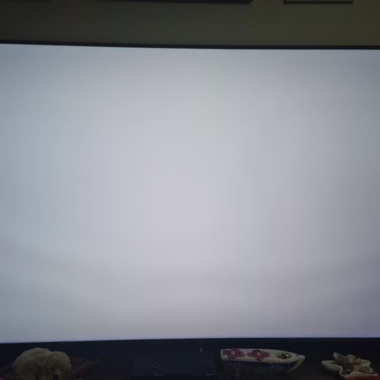 Samsung Televizyonumda Beyaz Ekranda Gölge Sorunu Ve Ücretsiz Onarım Talebi