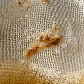 Şeftali Ice Tea İçerisinde Yabancı Maddeler Bulunması Sağlık Endişesi Ve İade Talebi