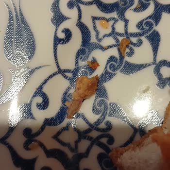 Hamburgerde Kemik Tespiti, Yemeksepeti Destek Talebinin Reddedilmesi