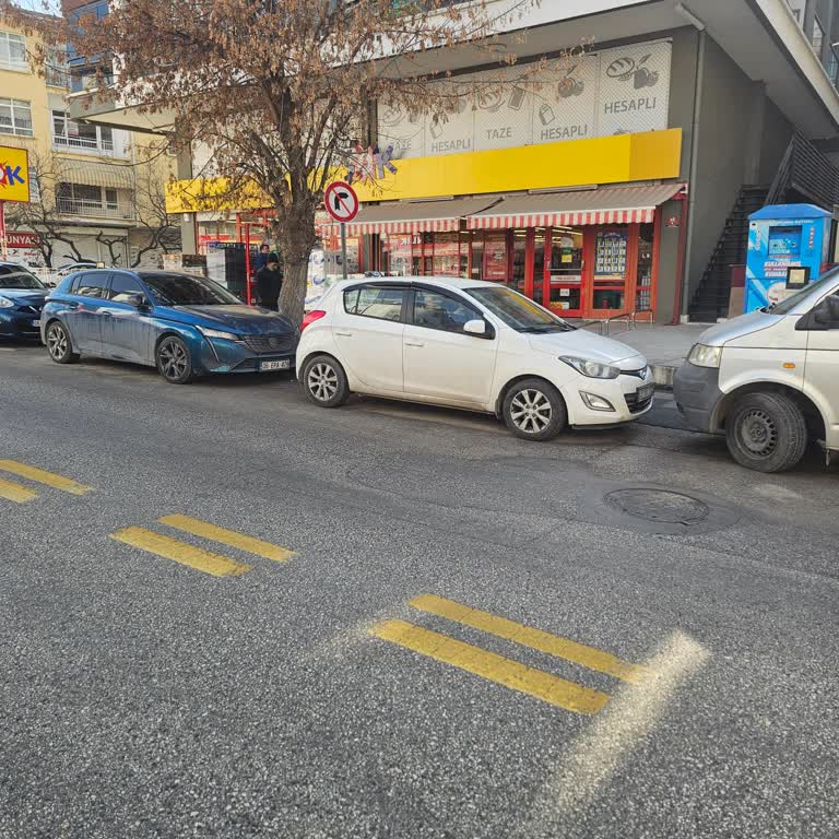 Kusurlu Halı Yıkama Makinesi İçin İade Talebi