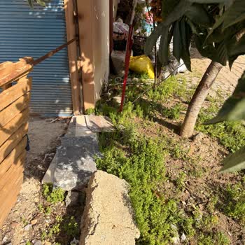 Acil Elektrik Kablosu Tehlikesi Ve Hızlı Müdahale Talebi