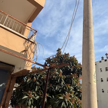 Acil Elektrik Kablosu Tehlikesi Ve Hızlı Müdahale Talebi