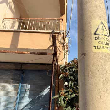 Acil Elektrik Kablosu Tehlikesi Ve Hızlı Müdahale Talebi