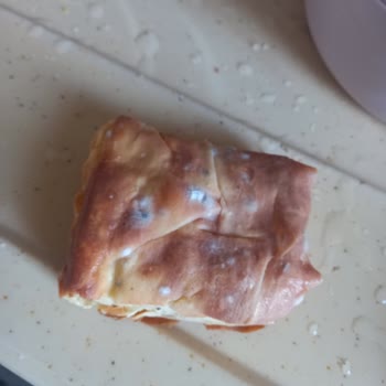 Bosch Buzdolabının Soğutma Arızası Ve Genel Merkez Çelişkisi