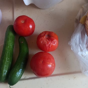 Bosch Buzdolabının Soğutma Arızası Ve Genel Merkez Çelişkisi