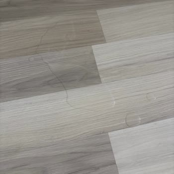 Bissell Halı Ve Koltuk Yıkama Makinesinde Sürekli Su Sızdırma Ve Çözülmeyen Servis Sorunu