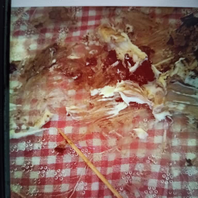 Bravo Patisserie Kürdanlı Pasta Hijyen Skandalı ve Sağlık Tehdidi