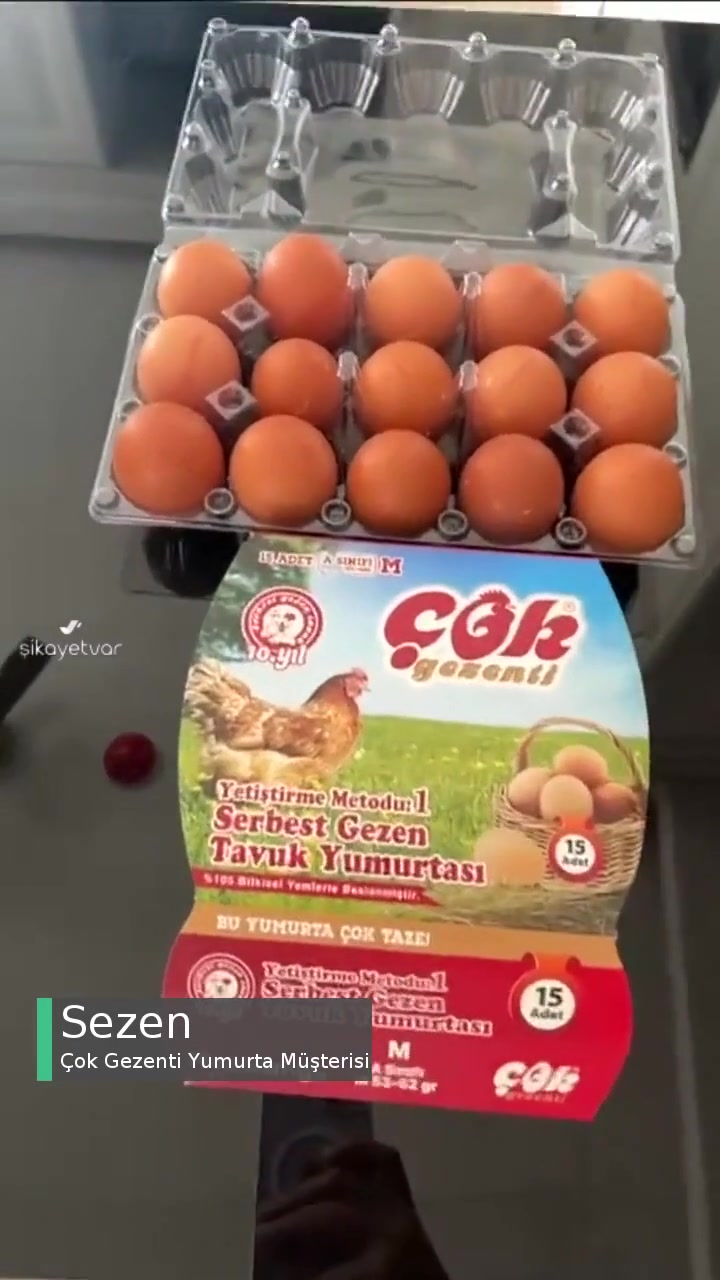 Çok Gezenti Orta Boy Yazan Yumurtaların Küçük Boy Olması videonun kapak resmi