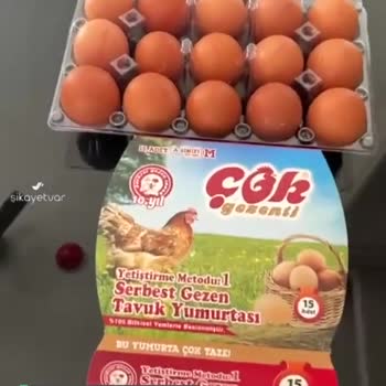Çok Gezenti Orta Boy Yazan Yumurtaların Küçük Boy Olması