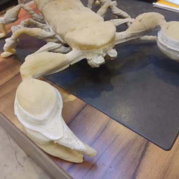 Setla 3D Vaat Edilen Ölçülerde Baskı Yapamayan 3D Yazıcılar Ve Geri Ödeme Talebi