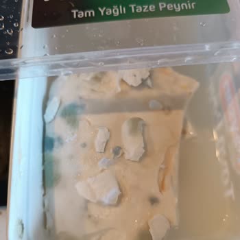 Küflü Peysan Tava Peyniri Üzerinde Yetersiz 100 TL Tazminat Şikayeti