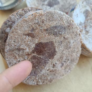 Torku Baton Kavurmasında Kalitesiz Et Ve Aşırı Yağ, İade Talebi