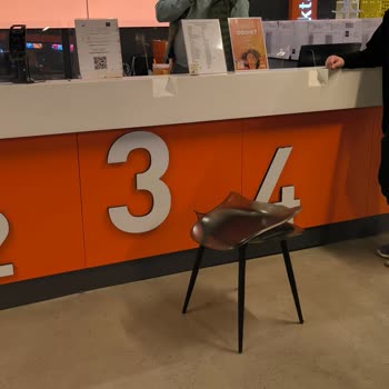 Üç Sandalye Aynı Anda Kırıldı Kullanıcı Hatası İddiası Kabul Edilemez