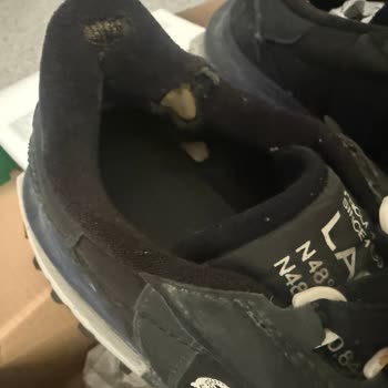 Trendyol'da Lacoste Ayakkabısının Kısa Sürede Açılması Ve İade Talebi