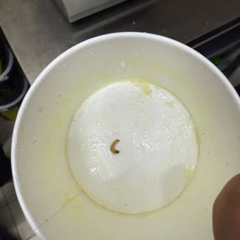 Harras Basmati Pirinçte Kurt Tespiti Ve Hijyen Endişesi!