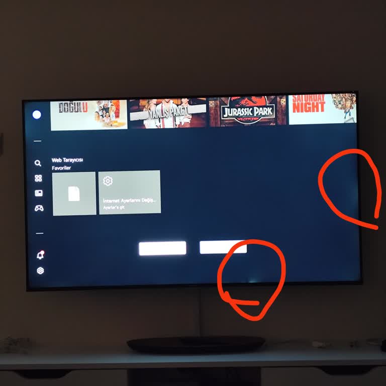 Garanti TV'de Beyaz Lekeler Ve Yetkili Servisin İlgisizliği